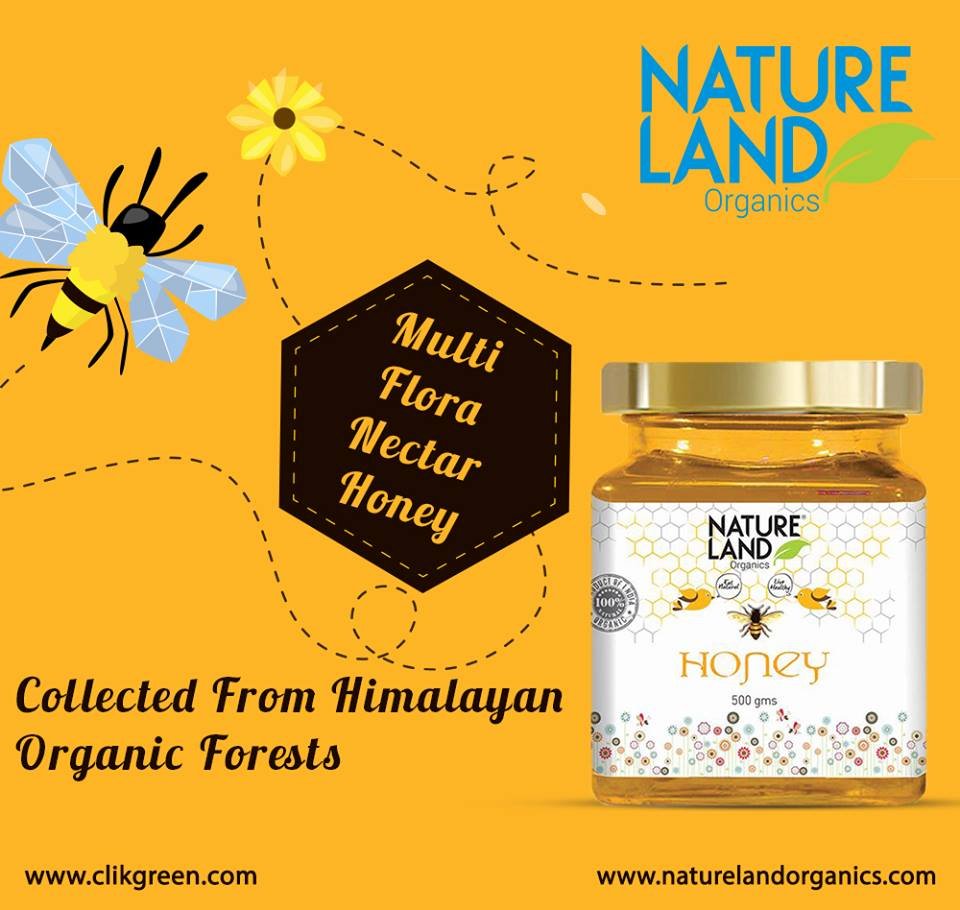 Nature_land1's tweet photo. Natureland’s Organic honey collected from Himalayan organic forests and processed and packed in hygienic conditions. Buy Now
#NaturelandOrganics #OrganicHoney #Medicinal #HealthySolution #SuperiorQuality #Free_form_Diseases #NaturallyRelieving #GoOrganic #OrganicProducts https://t.co/dw1pXZRII7