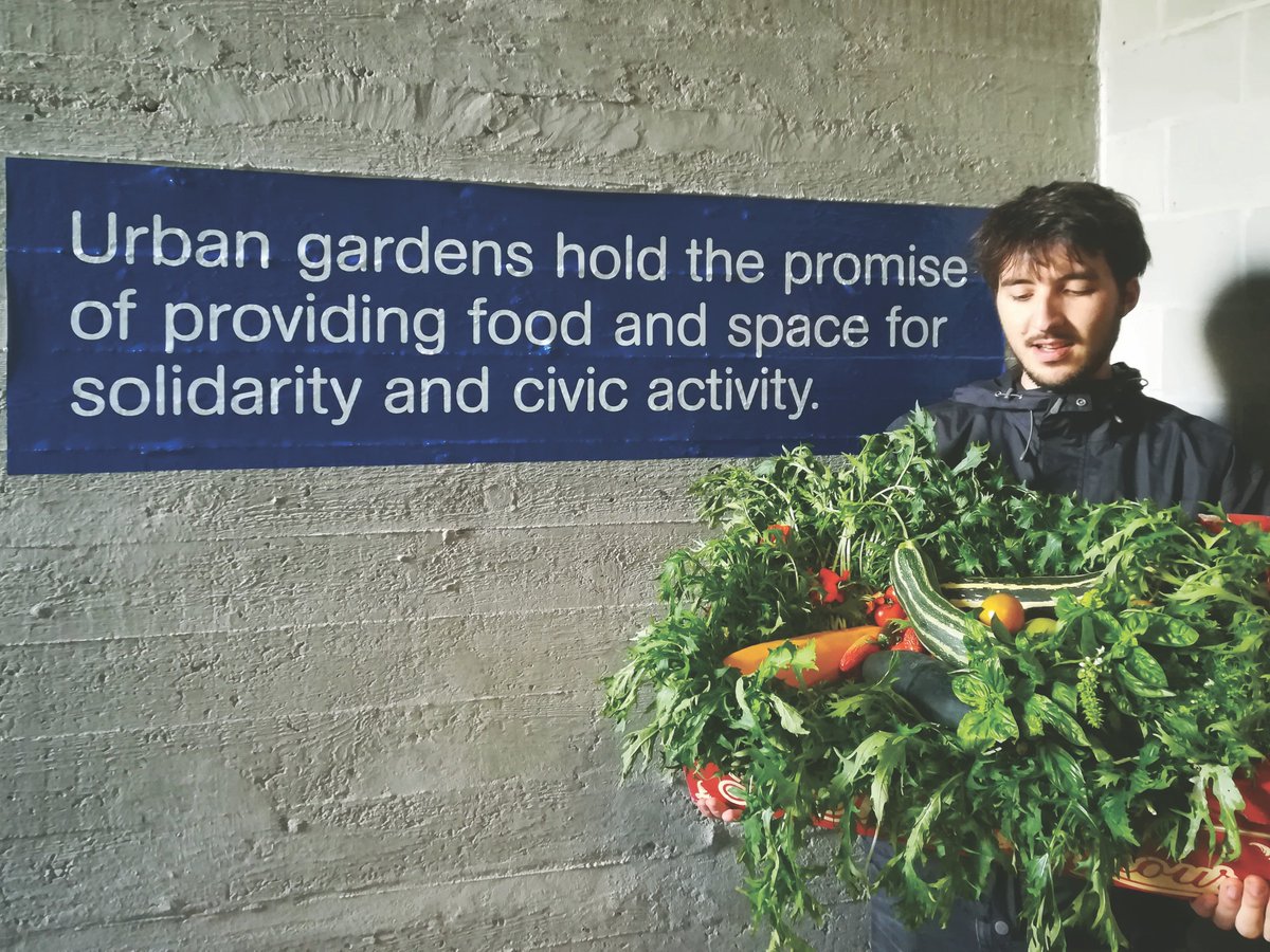 lab_north's tweet photo. We're probably on the right track!!! 
Producing #food in the #city, on a concrete slab with a community of #volunteers is possible, not that difficult and also really fun! #feedthecity #urbanfood #urbangarden #urganagriculture #northdistrict @lab_north https://t.co/EeBSkX51wb