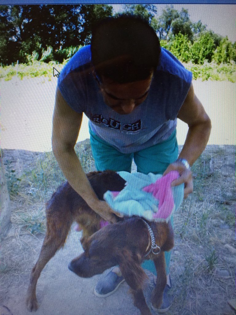 Intel•ligent,elegant,molta personalitat,protectora d teua casa durant 15 anys... quan ell va marxar pensàvem q tu tmb marxaríes. El cercle amb el teu gran amor es tanca. Passaràs la resta d l’eternitat a la terra q el va veure nèixer.