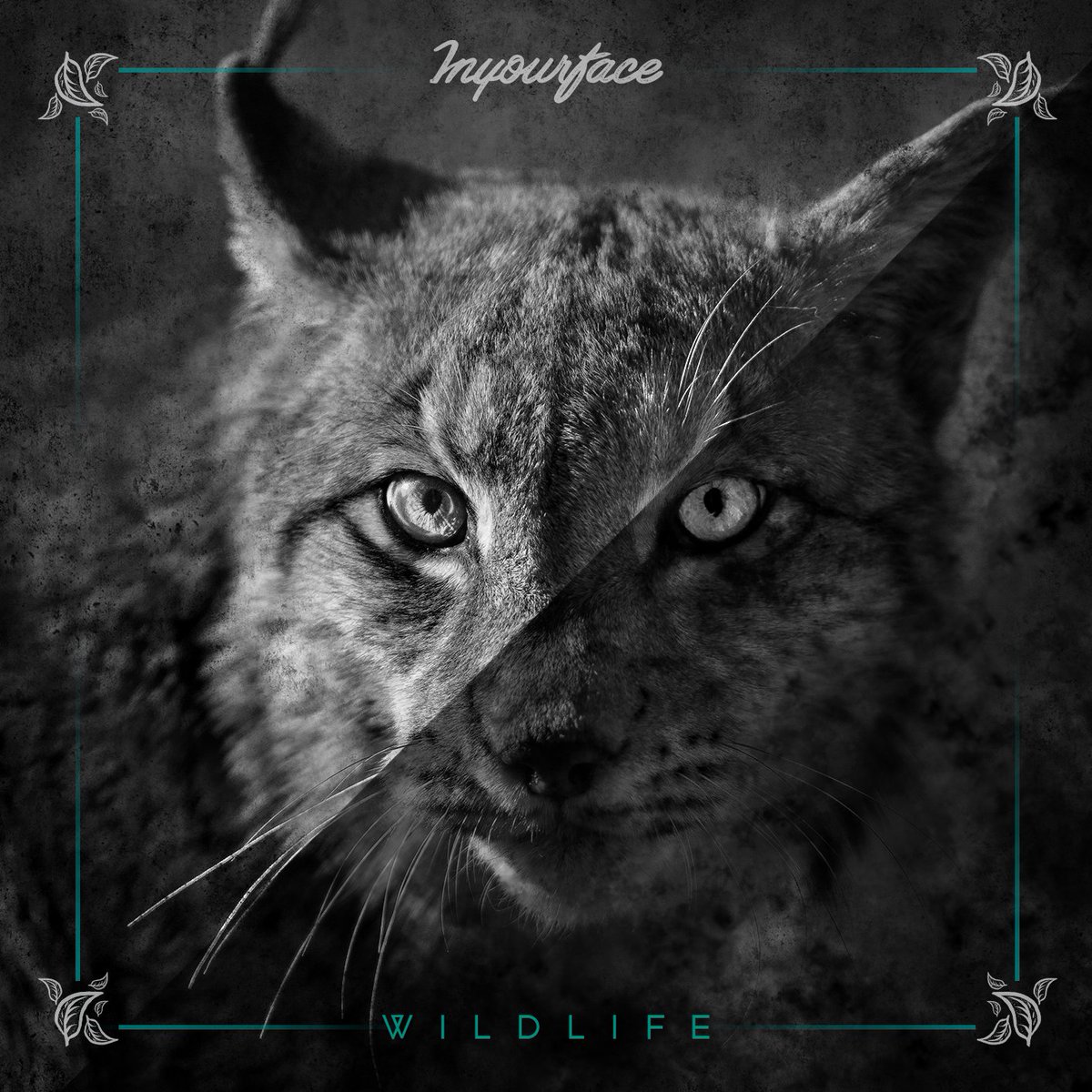 InyourfaceES's tweet photo. 🙌 ¡¡AQUÍ ESTÁ LA PORTADA DE WILDLIFE!! 🙌
Después de estos meses de duro trabajo, por fin podemos enseñaros como luce la portada de nuestro nuevo LP! Estamos muy contentos con el resultado final, ojalá que os guste tanto como a nosotros. ¡¡Pronto más noticias sobre Wildlife!! 🐾 https://t.co/QOrs4a1Ow2