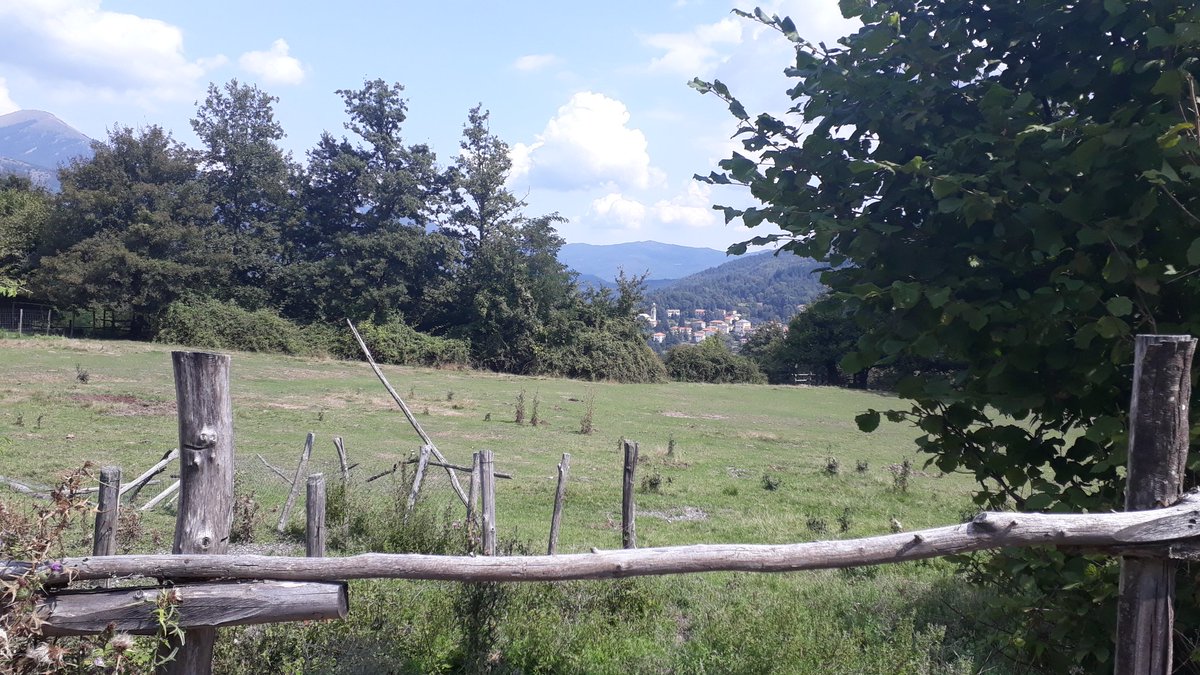 CesareLombardo's tweet photo. Vista da Moglia, inerpicatissima frazione di Rovegno #viaggioinvaltrebbia https://t.co/jYGfNs4O2I