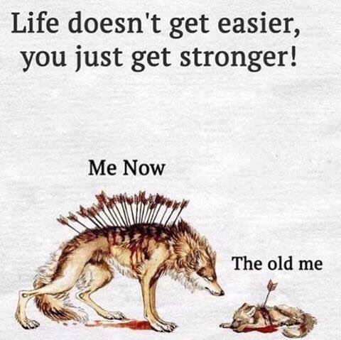 realchefrush's tweet photo. GROWTH.. TRUE STORY. Life is life, and no matter how bad, itโs called growth.. itโs a lesson. Life lesson as my mother called it. Learn from it, you MUST remember it, so it never happens gain. But never let your family, kids,friends do the same. #growth #strength #lessons #heal https://t.co/bT2bMSDqMB