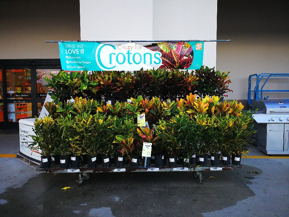 GregWilley4's tweet photo. Great Croton displays on Monster carts ready for Labor Day ad. https://t.co/ewq0rSHM4F