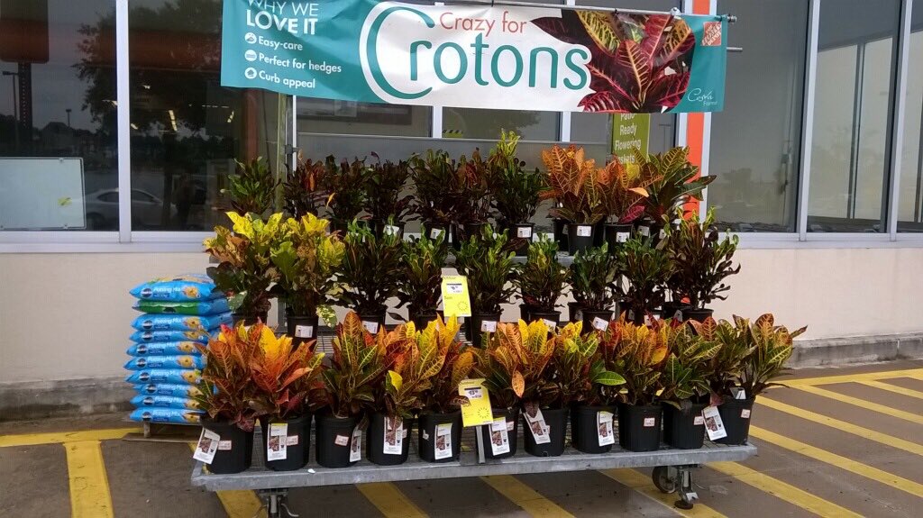GregWilley4's tweet photo. Great Croton displays on Monster carts ready for Labor Day ad. https://t.co/ewq0rSHM4F