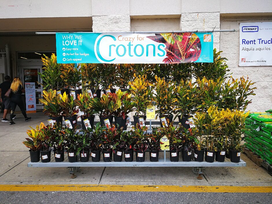 GregWilley4's tweet photo. Great Croton displays on Monster carts ready for Labor Day ad. https://t.co/ewq0rSHM4F