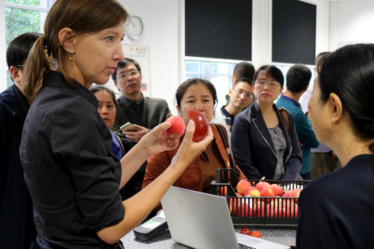 FRUTIC2019's tweet photo. thank you to colleagues from Technology Department of #Guangxi for interesting discussion on joint project bringing farmer and researcher in cooperation. By the way, on the photo is a half sphere, solid phantom of a tomato fruit with relevant µa and µs'. https://t.co/gBlis1POiI