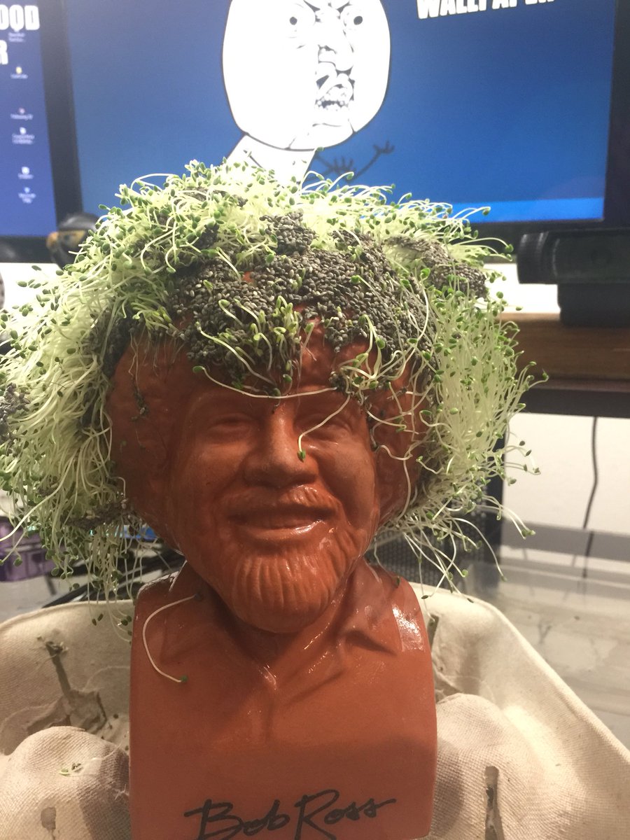 bruisedlee01's tweet photo. This morning I woke to find Bob’s head had fallen apart under its own girth. So I gave him a combover.
Show starts in an hour.
#prayersforbob https://t.co/s6VtnATSJq