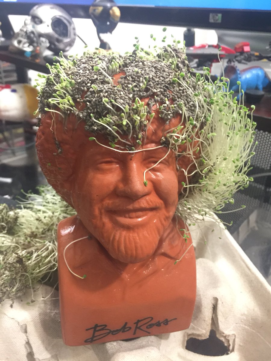 bruisedlee01's tweet photo. This morning I woke to find Bob’s head had fallen apart under its own girth. So I gave him a combover.
Show starts in an hour.
#prayersforbob https://t.co/s6VtnATSJq