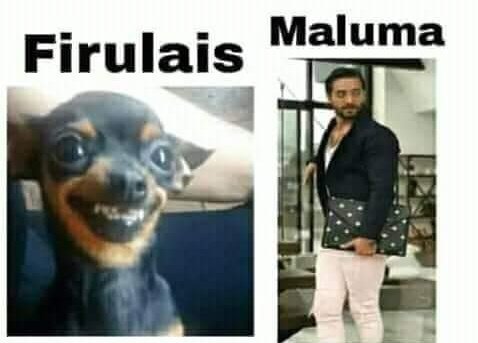 rtofavvv's tweet image. ¿A quién preferis?
RT ➡️ FIRULAIS
FAV ➡️ MALUMA