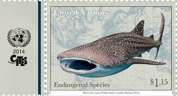 It's #InternationalWhaleSharkDay! Whale #sharks are protected under #CITES Appendix II since 2003 to ensure that int'l trade in #whaleshark is legal, sustainable &amp; traceable. 

#SaveOurOcean #SDG14 #MarineSpecies #SDGs