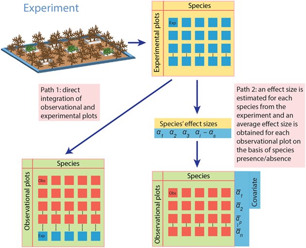 ESAEcology's tweet photo. #New in @ESAEcology with #OpenData from @figshare
Hybrid #datasets: integrating #observations with #experiments in the era of #macroecology and big‐#data
#bigdata #modelling #timeseries #convergentcrossmapping #causality #distributionmodels
https://t.co/EFGzF8bggK https://t.co/hEX4uIcLPL