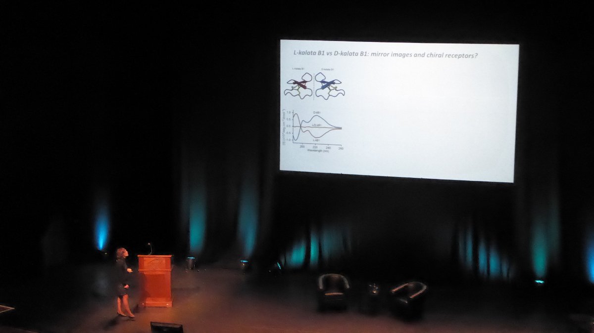 Sonia's presentation at the #35EPS  about the chirality of interactions between cyclotides and membranes. Well done @STHenriquesLab !