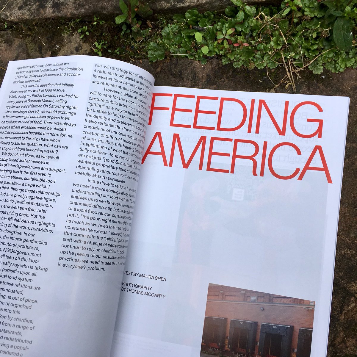 rare_mags's tweet photo. Mold is about the future of food, and this issue looks at food waste. From new supply chains to fatbergs, this is full of big ideas. https://t.co/QOPqhMmiaf #moldmag #foodwaste #food #fatberg #magazines https://t.co/yZ7sfMCAWt