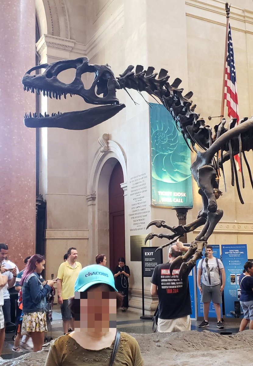 chACOBS_'s tweet photo. Even when we're working, it's important to find time to take in the local sights - especially in New York City @nycgov @AMNH  #chacobsworldwide #chacobsroadshow https://t.co/iMpK7SDTHK