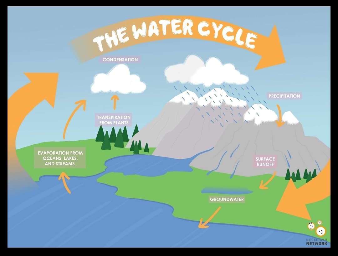 Fun Experiment!
Take a sandwich baggie, fill it with a 1/4 cup of water and tape the bag to a window with sunlight and watch the water cycle happen inside the baggie!
.
#kidsknowitnetwork #kidsknowit #illustration #geology #poster #education #watercycle #kidlitart
