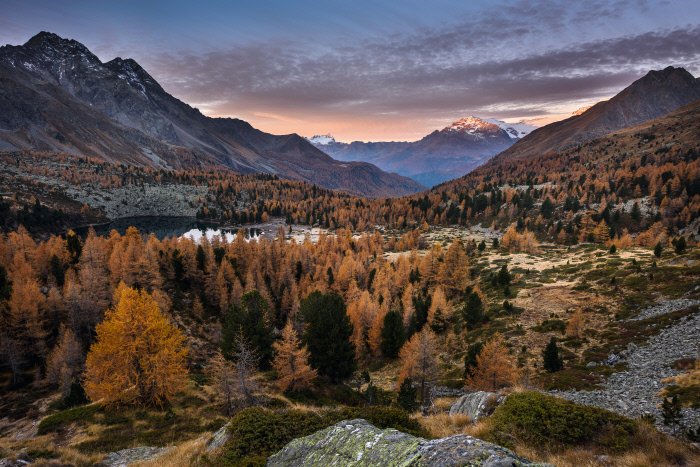 Veronique_Kanel's tweet photo. Bienvenue en #automne: #Suisse #Tourisme lance aujourd'hui sa nouvelle campagne, avec près de 30 suggestions d'#escapades de 3 jours pour profiter de la douceur, des saveurs et des couleurs de l'#automne: https://t.co/TS079LkrQc @MySwitzerland_f https://t.co/Yx1GpciHvn