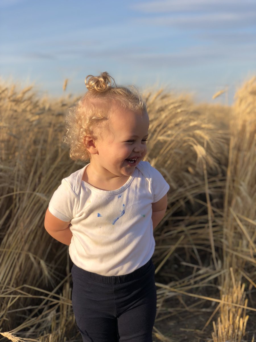 Justineckert1's tweet photo. Always fun checking cornt(corn) field and harvesting wheat with my little farmer🌾🚜😍#cornt #futurefarmer #farmersedge #Harvest18 https://t.co/h1tGJTA1h3