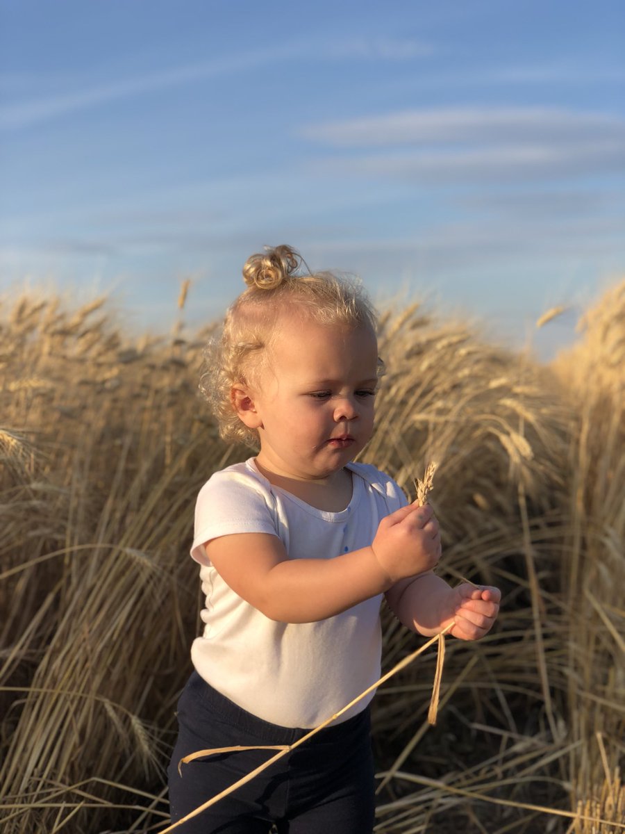 Justineckert1's tweet photo. Always fun checking cornt(corn) field and harvesting wheat with my little farmer🌾🚜😍#cornt #futurefarmer #farmersedge #Harvest18 https://t.co/h1tGJTA1h3