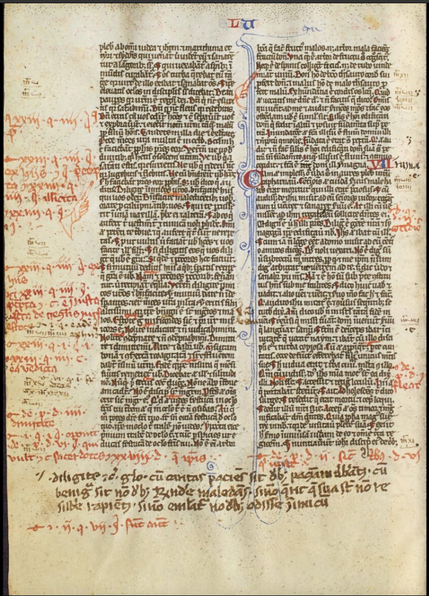 An inside page of the book showing writing in the margins