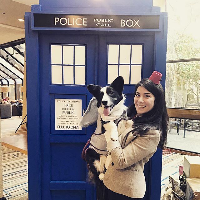 WhiskeyCorgi's tweet photo. A little #tbt to the time I was a Weeping Angel, hanging out with the 11th Doctor in front of the Tardis at the @angliconseattle - - -
- - -
@bbc @bbcdoctorwho @bbcamerica @doctorwho_bbca - - -
- - -
#Puppy #corgiaddict #cardigan #corgi #dogsofinstagram … https://t.co/zlo0dnQxOa https://t.co/9rUdBHoqQd