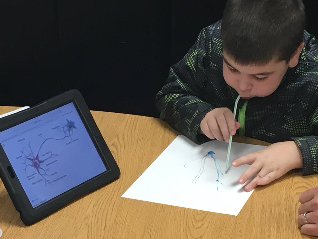 TEssd40's tweet photo. How to train your brain!!! Students learn about the functions of neurons and dendrites through visual representation. https://t.co/b4vA2PD3Ma