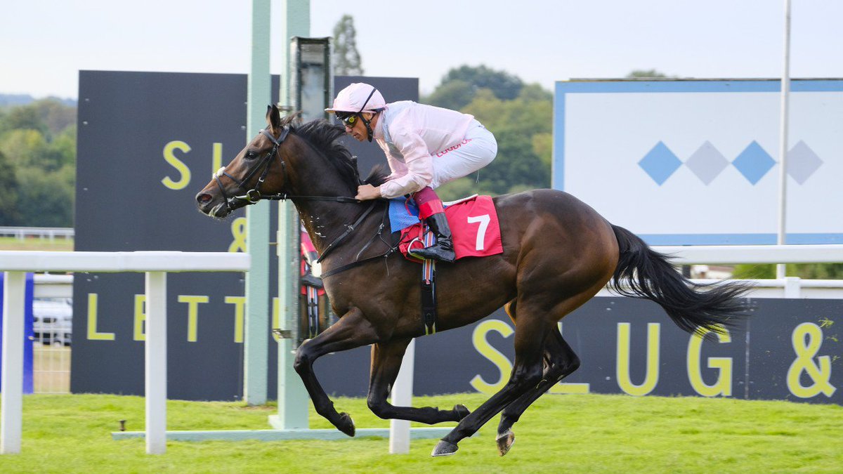 Racing Post Exciting Derby Prospect Too Darn Hot Heads High Class Solario Line Up T Co E8tnjppwj7