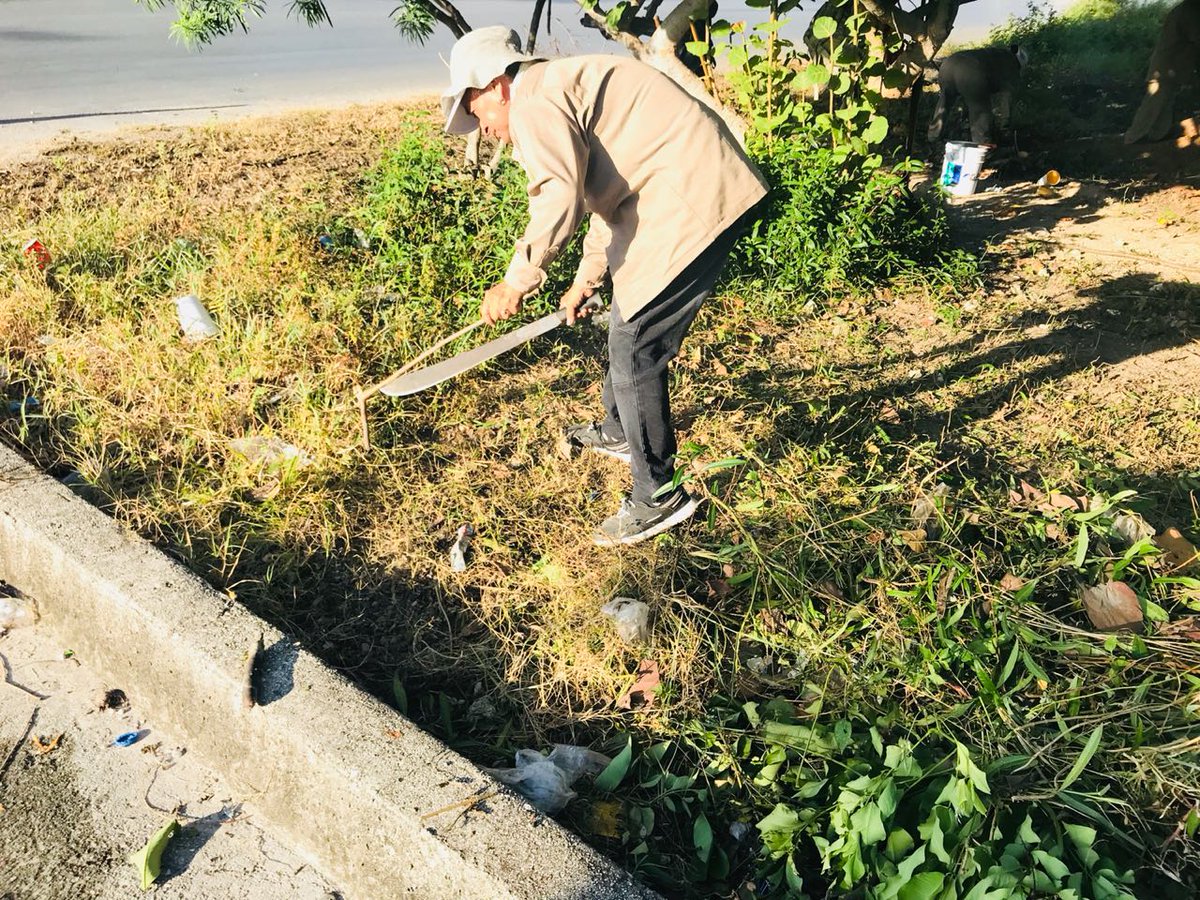 #BrigadasVerdes realizan trabajos de chapeo, limpieza y retiro de basura y desechos vegetales sobre Av. 20 de Noviembre #NoPararemos

<a href="/rembertoestrada/">Remberto Estrada</a> <a href="/RogerEspinosaR/">Roger EsPro</a> <a href="/jlcgcachorro/">jlcg cachorro</a> <a href="/AytoCancun/">Ayto Benito Juárez</a>