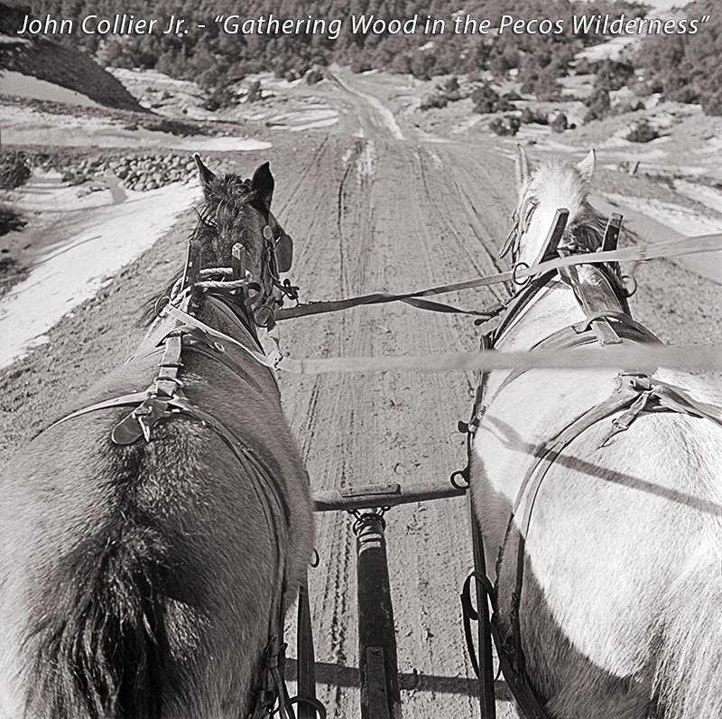 "Horses", by John Collier. New Mexico at its best, many years ago. #historicphotos #historicphotography historicphotographers #bnw #bnwphotography #horsesofinstragram #backintheday #newmexico #historicalnewmexico #archivalprints #fineartreproduction