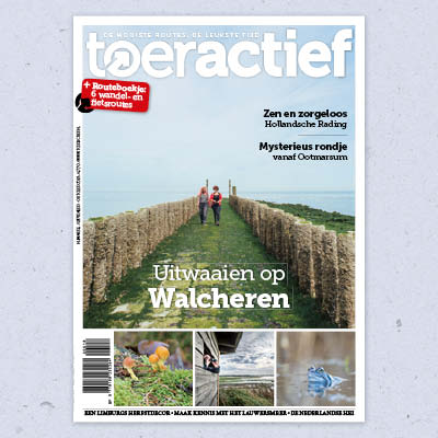 Toeractief tweet media