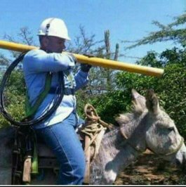 oficialsiprecec's tweet photo. Para ti compañero, que trabajas dando luz al pueblo contra viento y marea, con las uñas, sin un sueldo digno, y aguantando descalificativos y desprecios de los burócratas ignorantes de turno, FELIZ DIA DEL ELECTRICISTA!!! @NSindicales2012 @fetraelec1 https://t.co/ML6p3hmh0Y