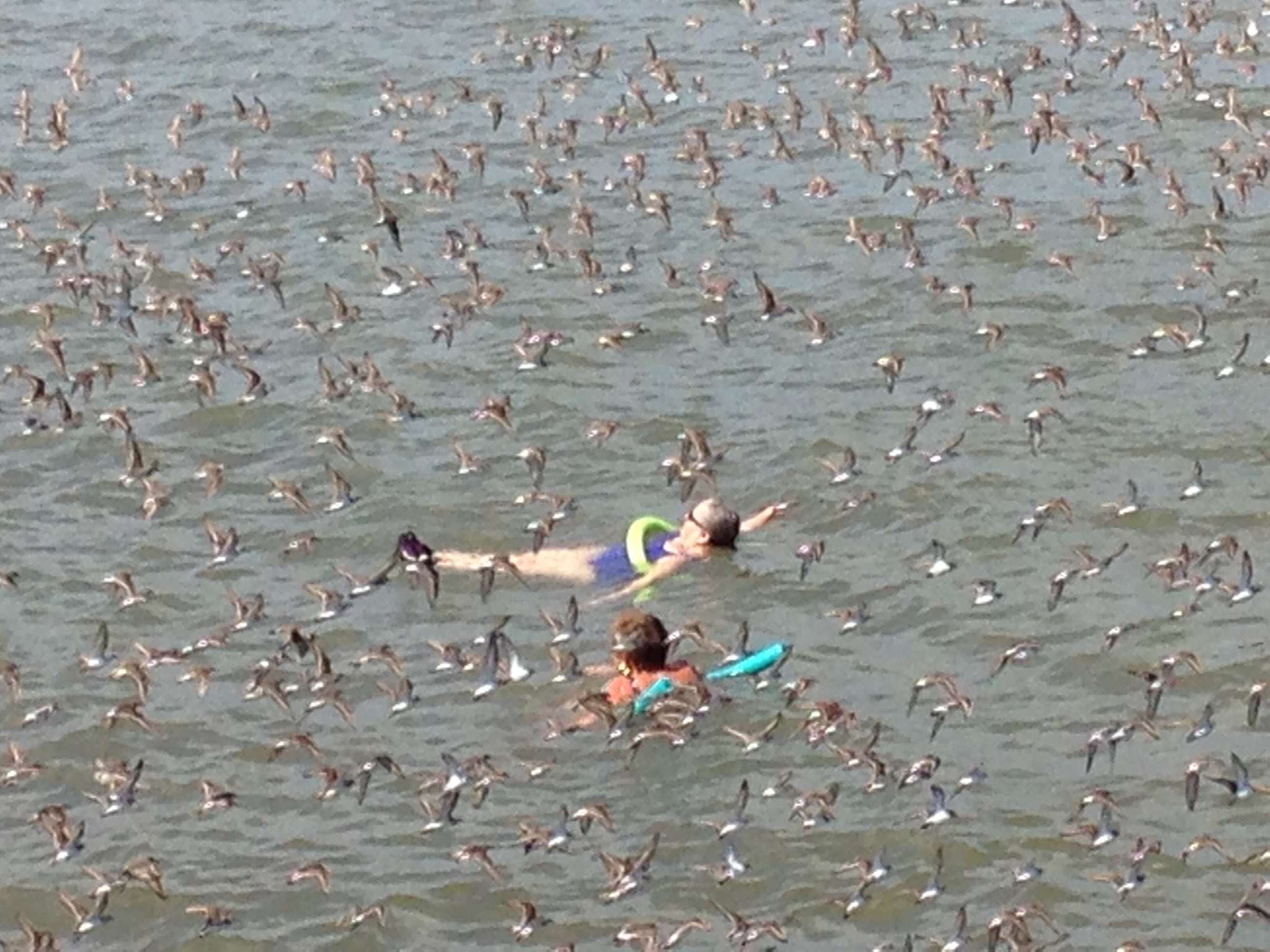 Paul Creelman on Twitter: "A woman sent me this photo recently. Her and