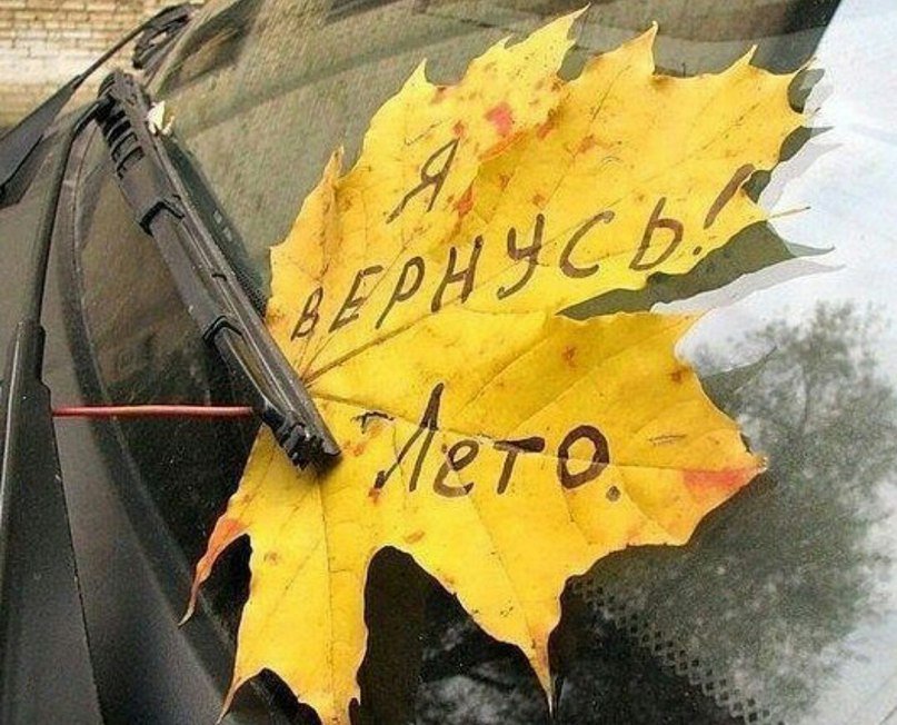 Прикольные картинки не уходи лето