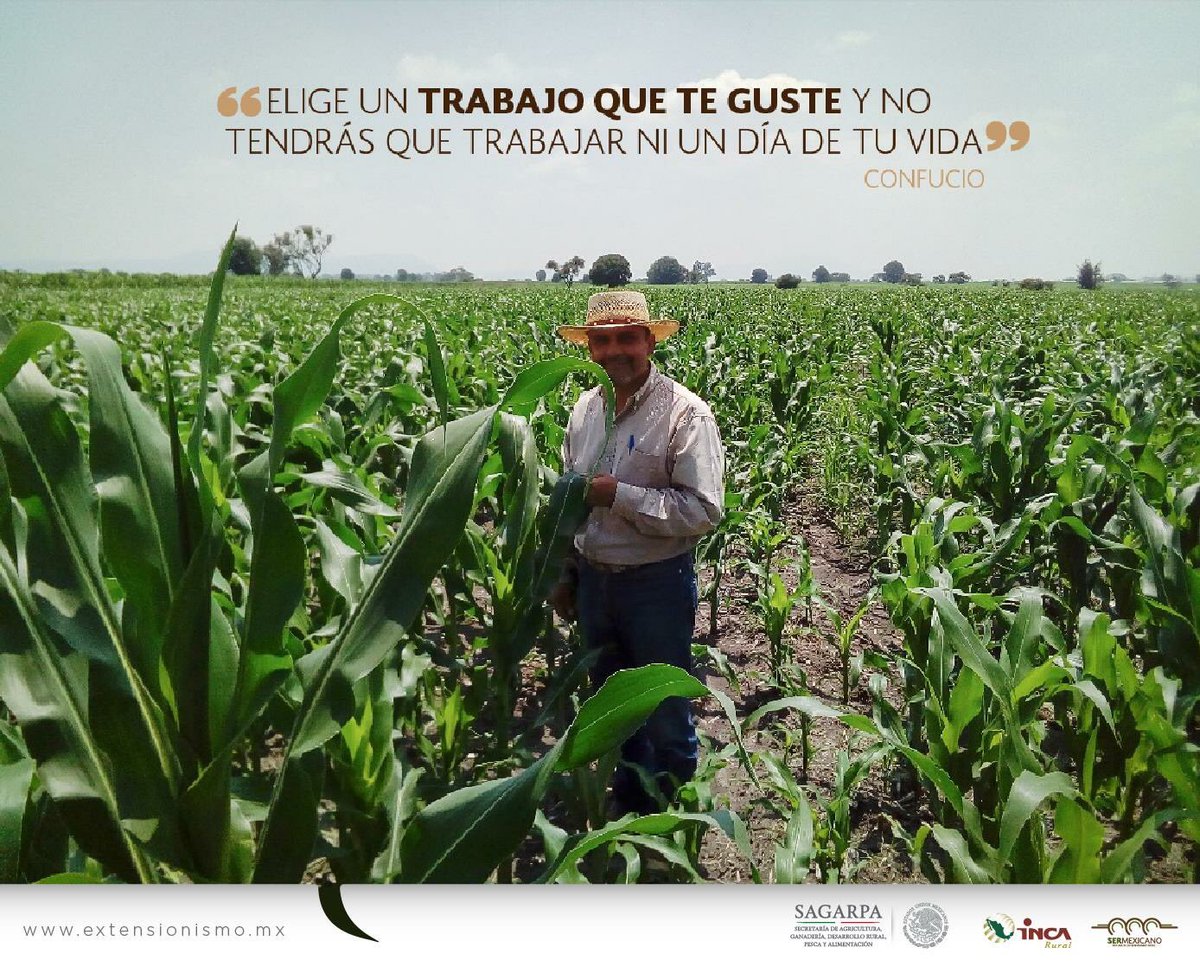 Extensionismo México (@extensionismomx) on Twitter photo Elige un trabajo que te guste y no tendrás que trabajar ni un día de tu vida. <a href="/BaltazarxTam/">Baltazar Hinojosa O.</a> Elige un trabajo que te guste y no tendrás que trabajar ni un día de tu vida. <a href="/BaltazarxTam/">Baltazar Hinojosa O.</a>