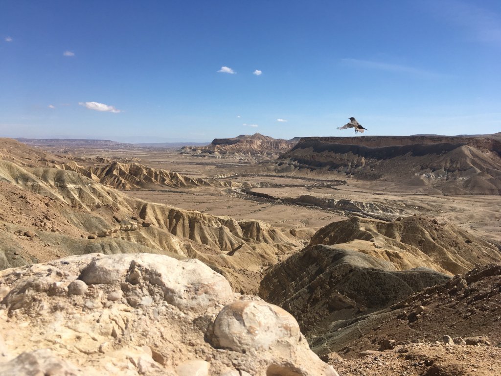 JillMcDunk's tweet photo. Why Israel changed my 2018 https://t.co/eNc1EkmhFO https://t.co/H7NtGIZHR1