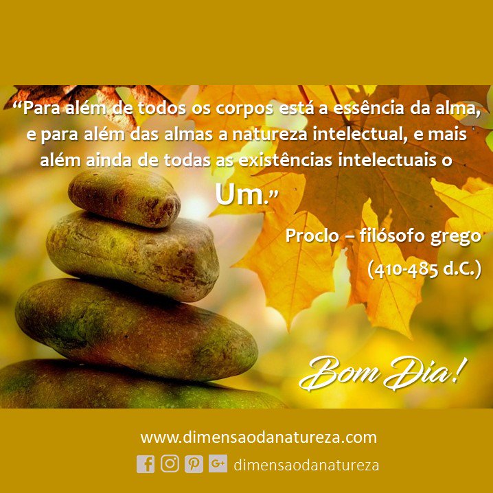 Dimensão da Natureza on Twitter: Dimensão da Natureza on Twitter: