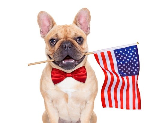 DryTech24's tweet image. Dry Tech is open this Labor Day should you need our services for water or mold damage cleanup! We work with all insurance carriers. Give us a call anytime at 321-368-3399 #DryTech #LaborDay #WaterDamage #MoldDamage #Mold