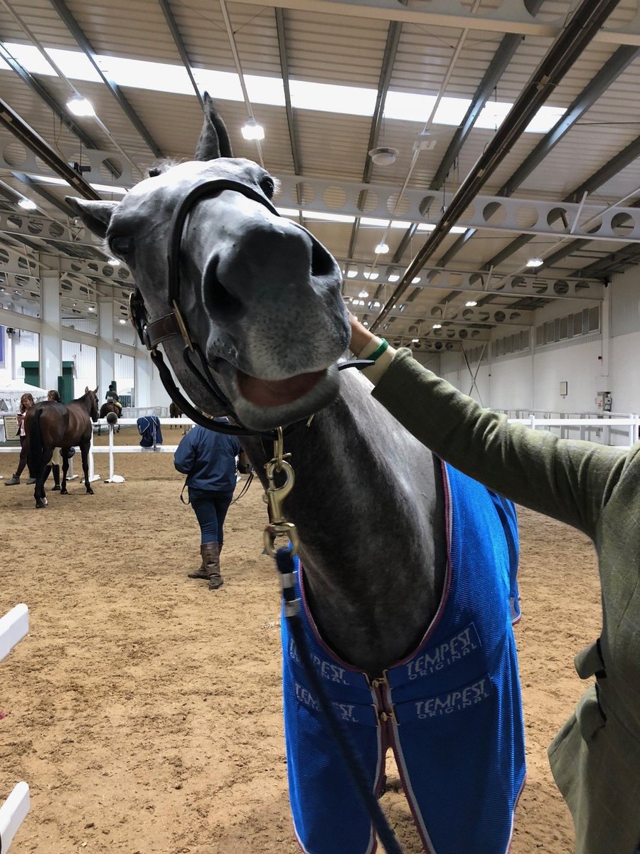 ’They can pull you through the real tough parts of your life. Whether on two or four legs, a best friend is a best friend.’ Six joys of having an ex-racehorse 👉 bit.ly/2wybfGk