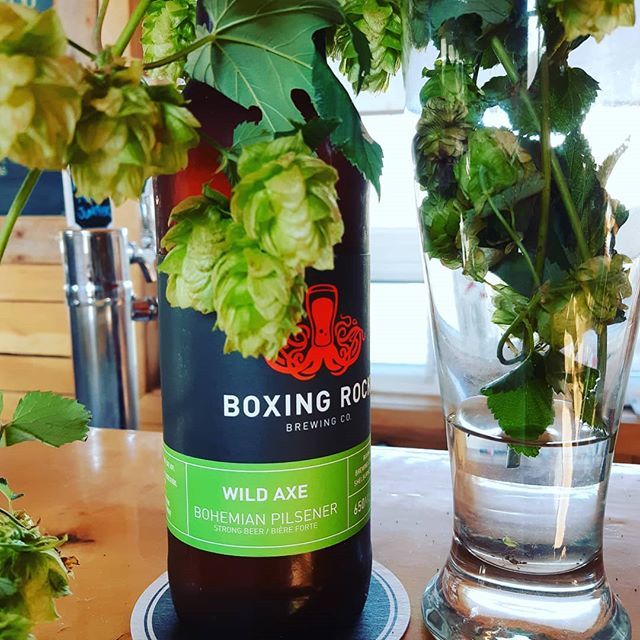 boxingrockbeer's tweet photo. It's hop harvest time! With all these hot days it's best to cool off with a Wild Axe Pilsner! Available on tap @timberloungehfx always. #wildaxe #nscraftbeer #legendarybeer #thirstythursdays https://t.co/q8FirYl27m https://t.co/HnmrUeUmmd