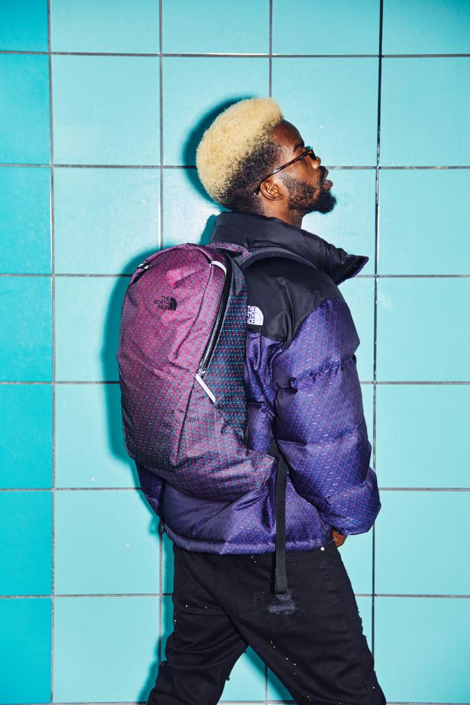 cmyk the north face