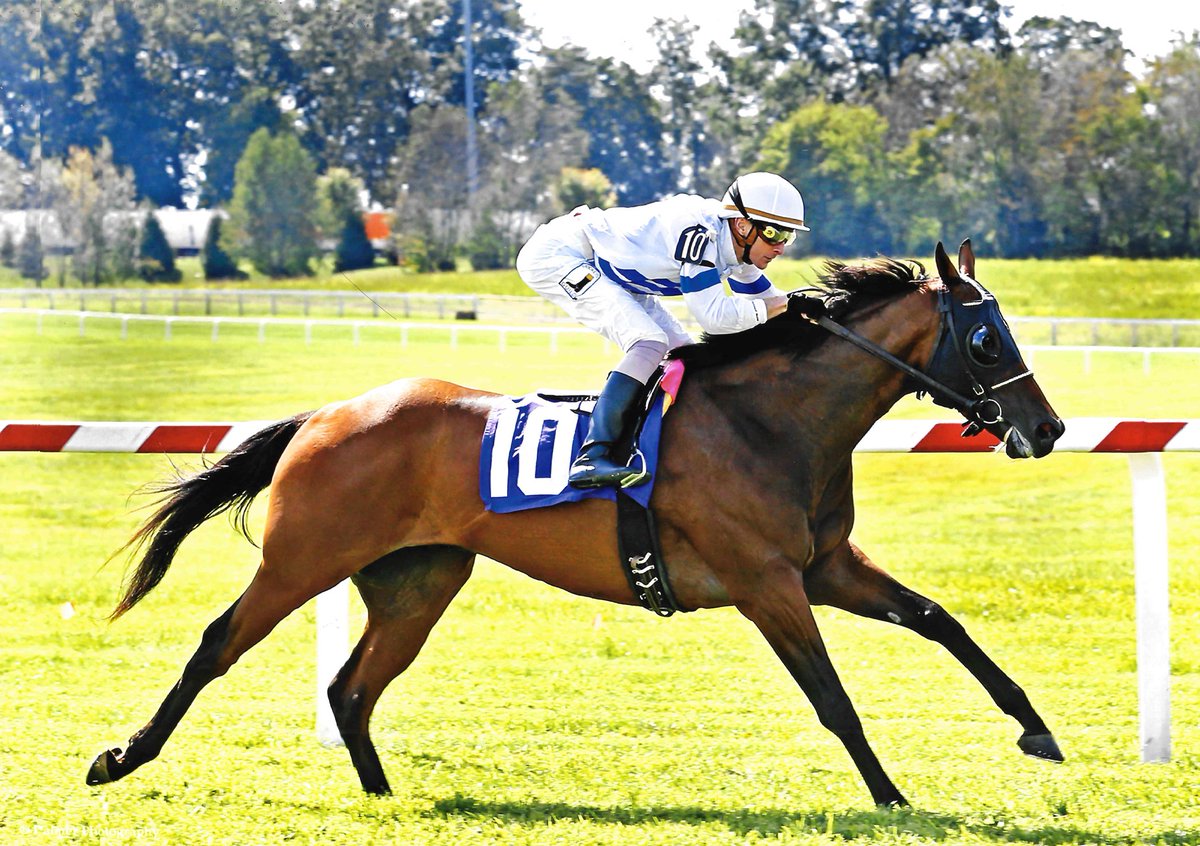 Good luck to Mr. Cub and all of Turf Stable partners in Saturday’s $750,000 Tourist Mile at Kentucky Downs! 
Visit turfstable.com for more info.