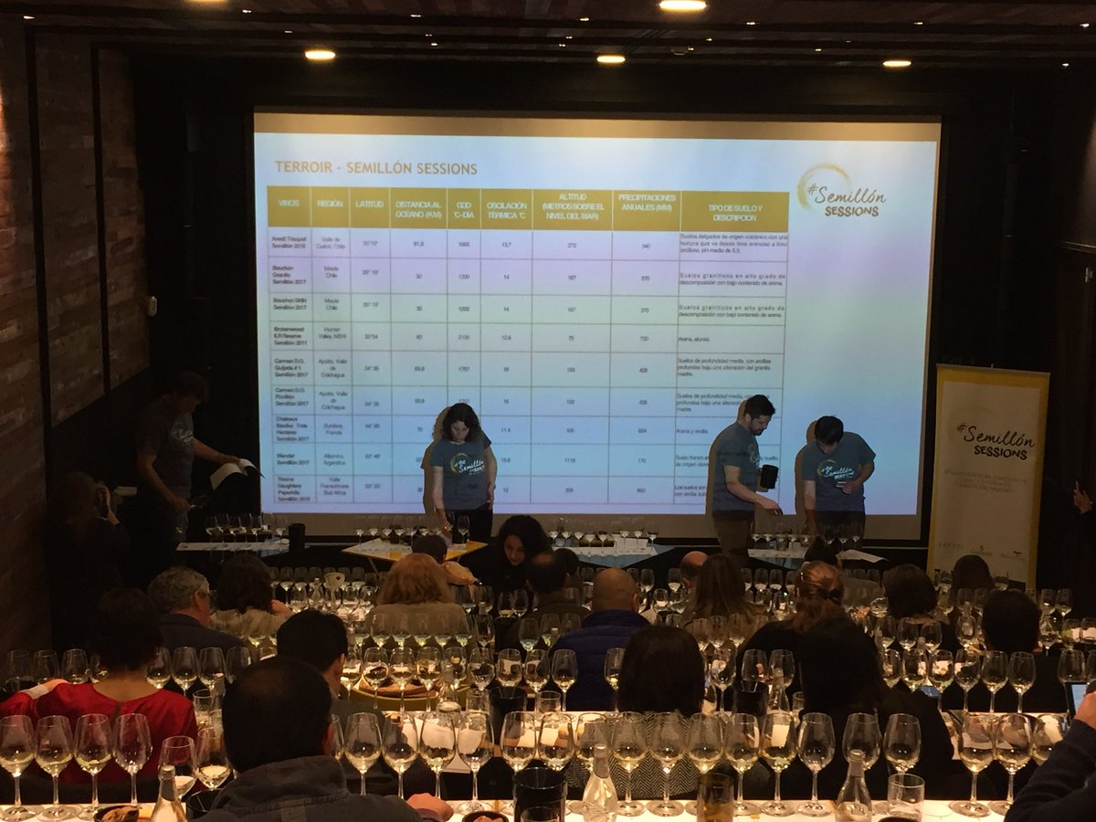 ArestiChileWine's tweet photo. Ya partimos! 5 vinos chilenos y 4 internacionales. #blindtasting #SemillonSessions #Semillon @Nachomontt32 @winesofcurico https://t.co/XcL7nynA43