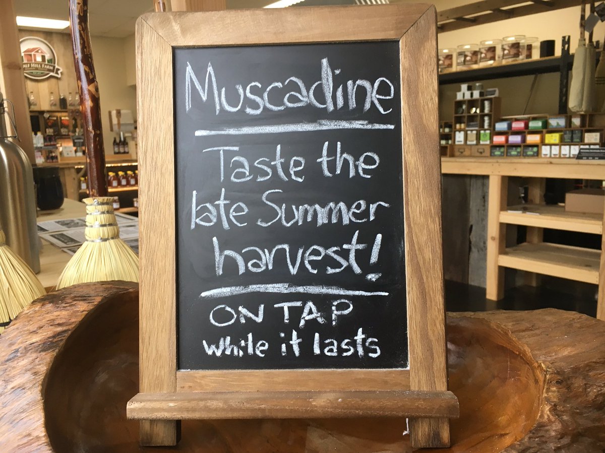 Half Hill Farm (@halfhillfarm) on Twitter photo ON TAP: The squeezinās of a late Summer harvest of #Muscadine grapes are kombuchatized and now on tap at @halfhillfarm in Woodbury and <a href="/WellnessEmp/">Wellness Emporium</a> in Bell Buckle! Our first batch sold out last week in two days, so get it while it lasts! ššš ON TAP: The squeezinās of a late Summer harvest of #Muscadine grapes are kombuchatized and now on tap at @halfhillfarm in Woodbury and <a href="/WellnessEmp/">Wellness Emporium</a> in Bell Buckle! Our first batch sold out last week in two days, so get it while it lasts! ššš