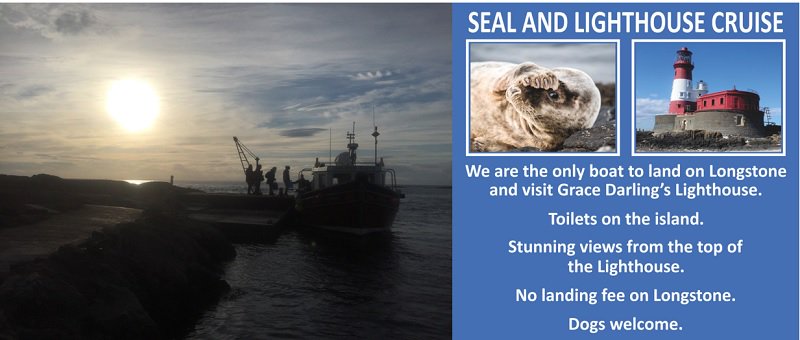 Cruises tomorrow Friday 31st - 1:30 and Sunset-Lighthouse cruise at 6 pm. 07904 800590 or Office on 01665 721210. <a href="/mainscottages/">Mains Cottages</a> <a href="/staidanhotel/">St Aidans, Seahouses</a> <a href="/KarensKottages/">Karen's Kottages - Northumberland</a> <a href="/OwlCottage1/">Kate at Owl Cottage Craster 💙</a> @Post_OffHoBB <a href="/Dondonthechef/">Donna marie smith</a> <a href="/alnmouthcottage/">Alnmouthcottages</a> <a href="/FarmhouseGuest/">Farmhouse Guesthouse</a> <a href="/TheGablesDuddo/">The Gables Berwick Luxury B+B</a> #Northumberland <a href="/BAdvertiser/">Berwick Advertiser</a>