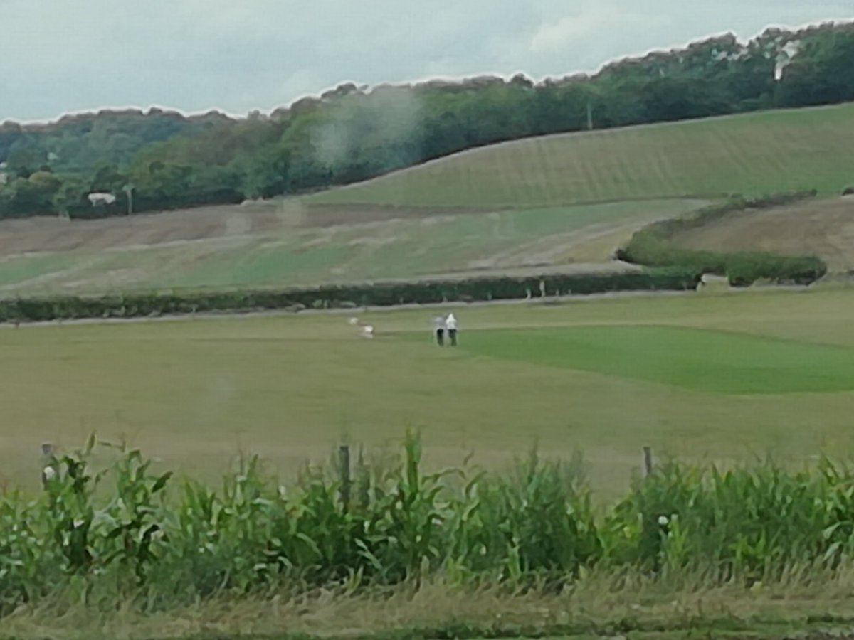 harrytheslurry's tweet image. I think that&apos;s the end of play for him day just landed and flipped her over on the electric fence #modelplane