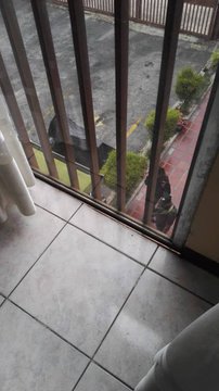 Ver imagen en Twitter