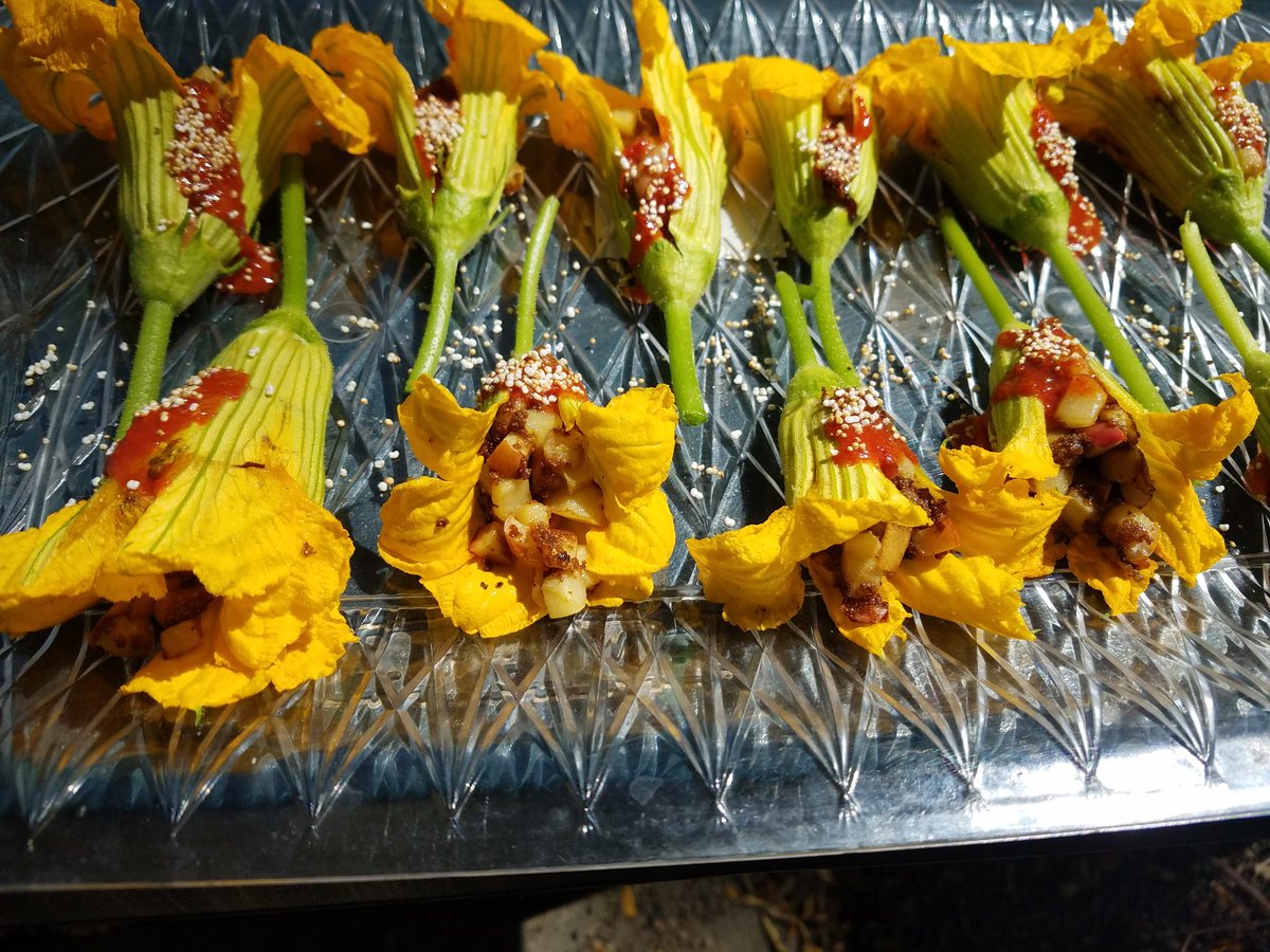 Can you say "yummy"? Lunch feast from Karlos of Taste of Native Cuisine.  Locally sourced and fresh salad, elk and squash tortillas with sweet corn puree, and flower with fried apple relish. #KMMROADTRIP #cohealth