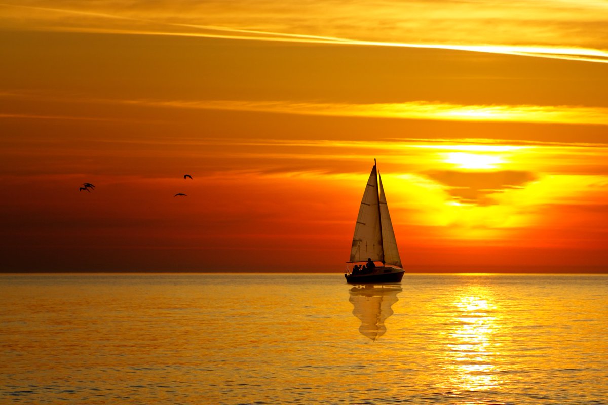 Involvedinvest's tweet image. Are you ready to hand over the reins and sail off into the sunset, achieving and exceeding your exit plans? If so, find out how we can help you
involvedinvestors.com/exit-strategy