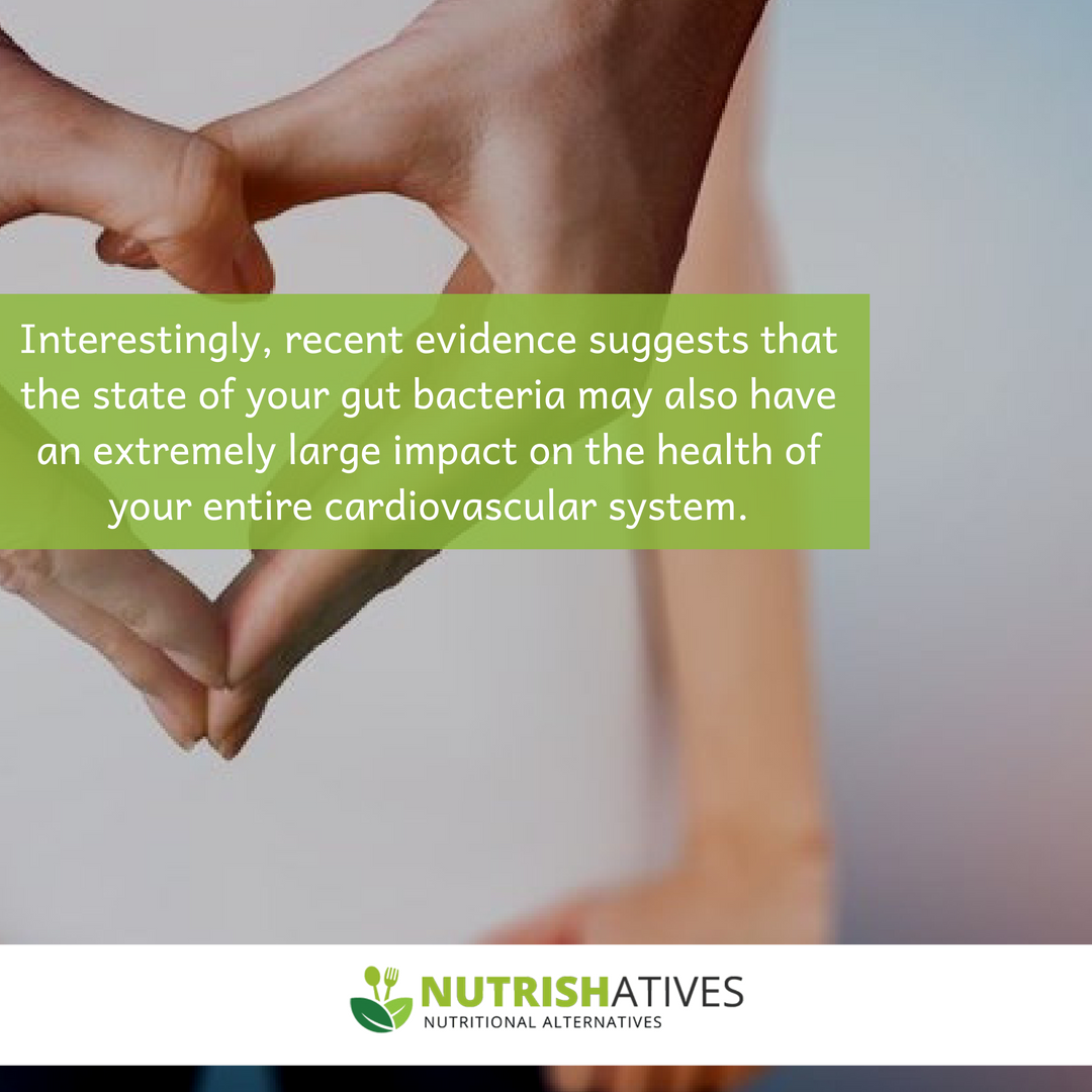 nutrishatives's tweet photo. Did you know that the good bacteria in the gut play an extremely important role in maintaining optimal heart health? 🤔🤔 #guthealth #healthygut #digestivefunction #wellnessliving #HealthyFood #nourishyourself #cleanliving #cleaneating
👉 https://t.co/GgjuTszxot 👈 https://t.co/YBrGnUvrvX