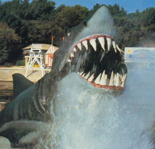 P:TR CityWalk Orlando Saga: Malltiverse of Madness on X: Original Jaws  shark in Hollywood, aka Carrot Teeth  / X