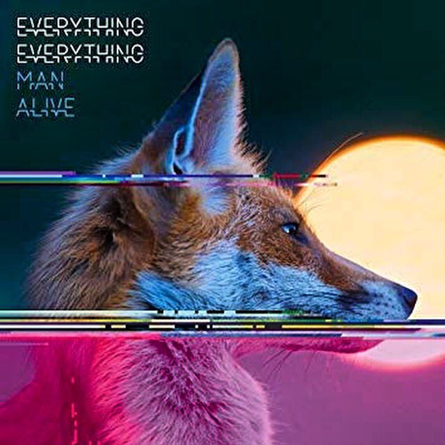E_E_'s tweet photo. Mr Fox is 8 today 🎂 https://t.co/iDKJc0c0nM